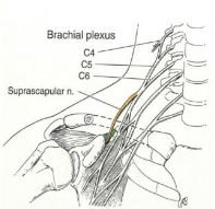 Nerve Injury