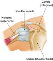 Operative treatments Soft-tissue procedures